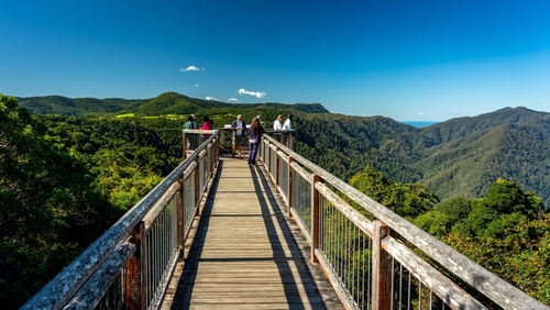 The lush, green canopy of Dorrigo National Park, with a glimpse of its majestic waterfalls and misty walking trails, embodying the ancient and untouched beauty of the Gondwana Rainforests.