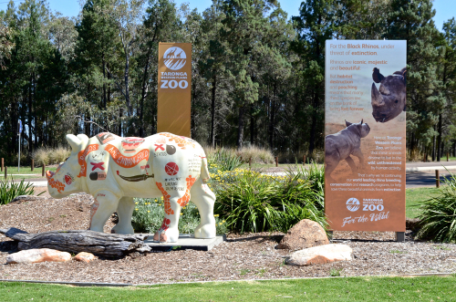 A vibrant scene from Dubbo, featuring the expansive Taronga Western Plains Zoo with its unique open-range setting, alongside snapshots of the city's cultural landmarks and bustling community life, reflecting its role as a regional hub.