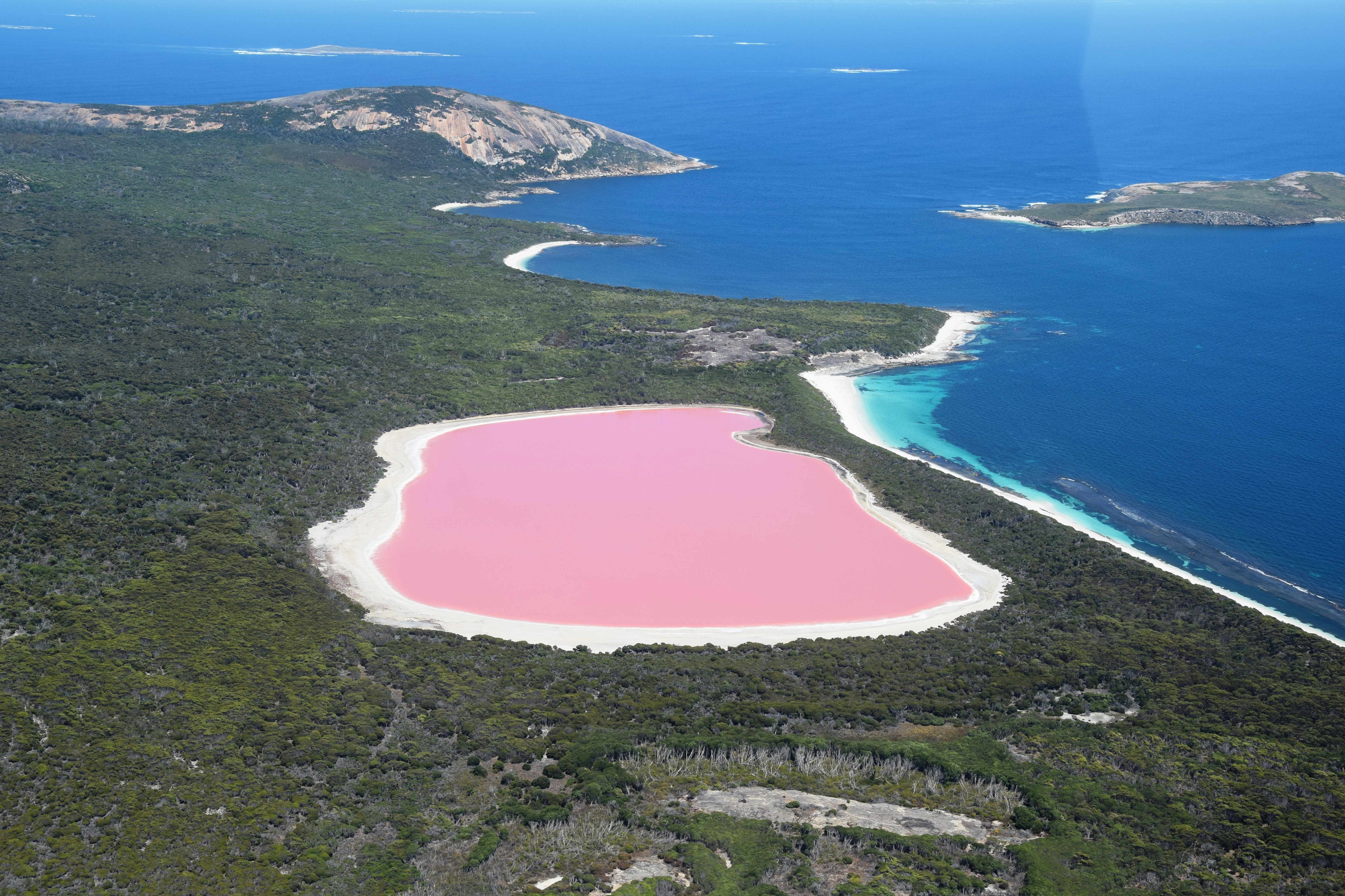 A captivating view of Esperance Pink Lake, showcasing its vibrant pink colors against the surrounding landscape. 
