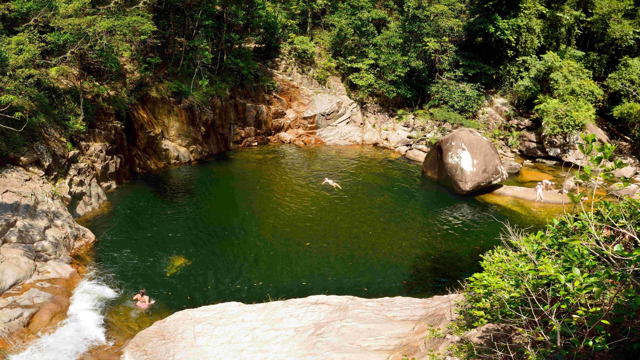 A serene view of Eungella National Park, featuring dense rainforest, winding trails, and a cascading waterfall. 
