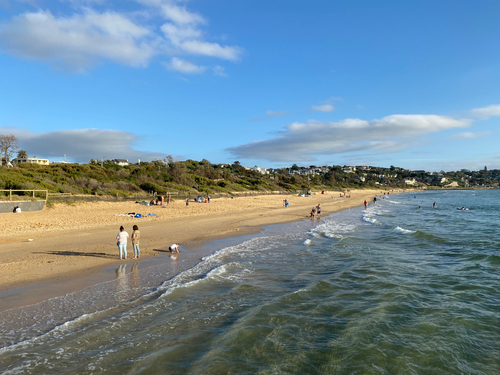Panoramic view of the clean and sprawling Frankston Beach with families playing and swimming under the supervision of lifeguards, showcasing the Blue Flag status for high environmental and quality standards.