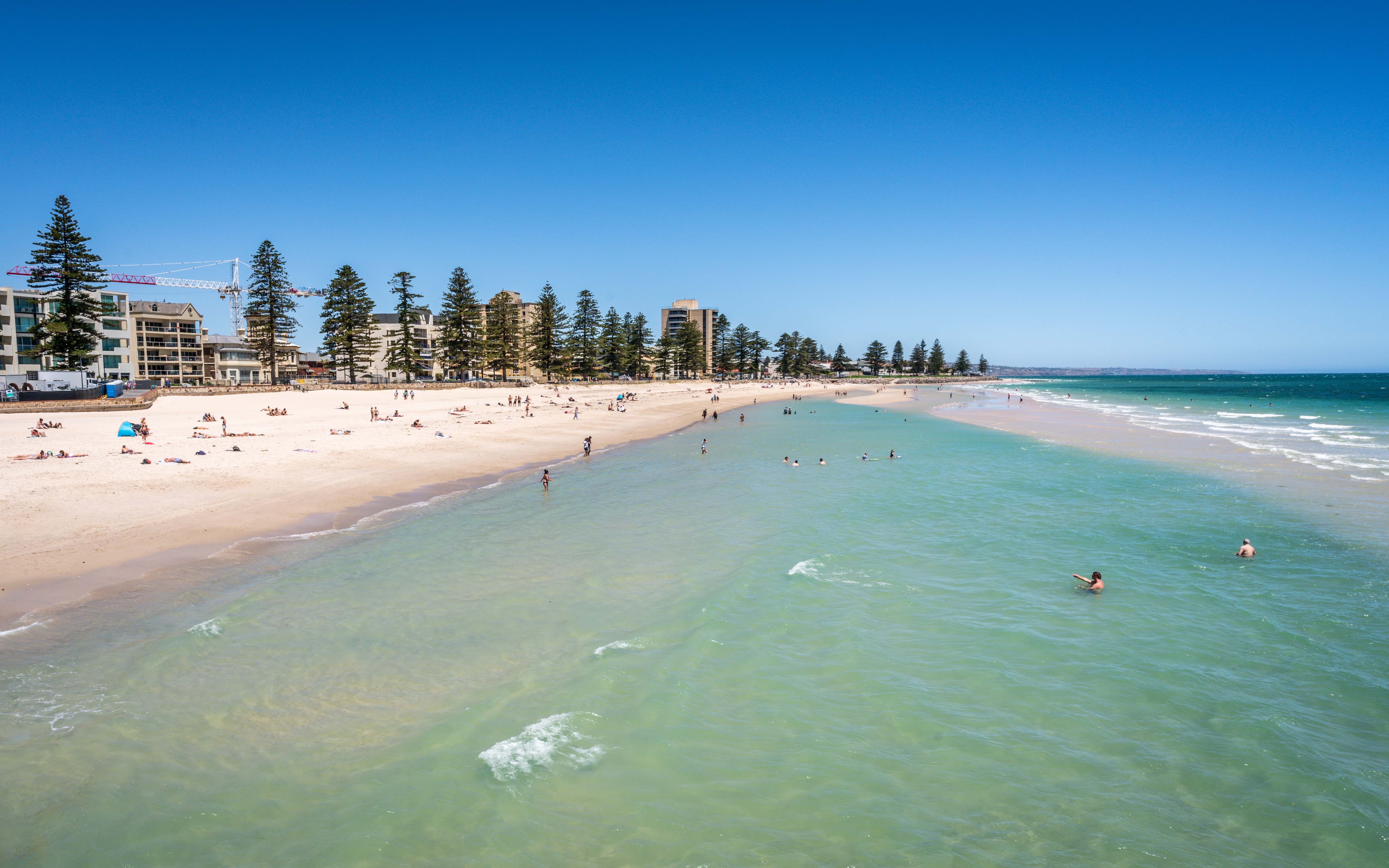 A panoramic view of Glenelg Beach, showcasing its pristine white sands, turquoise waters, and bustling promenade lined with palm trees and cafes. 