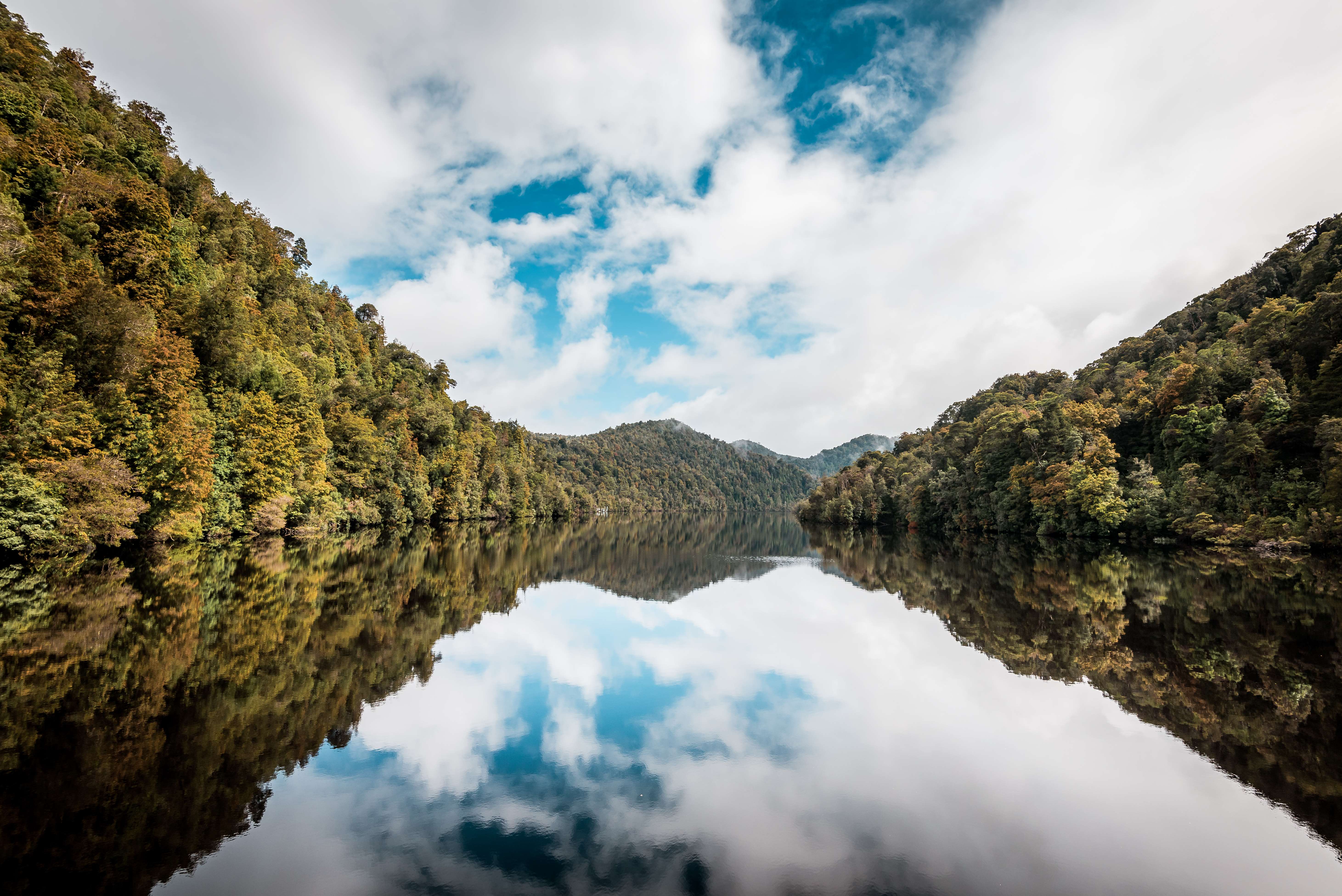 Lush rainforest reflected in the calm waters of the Gordon River.    