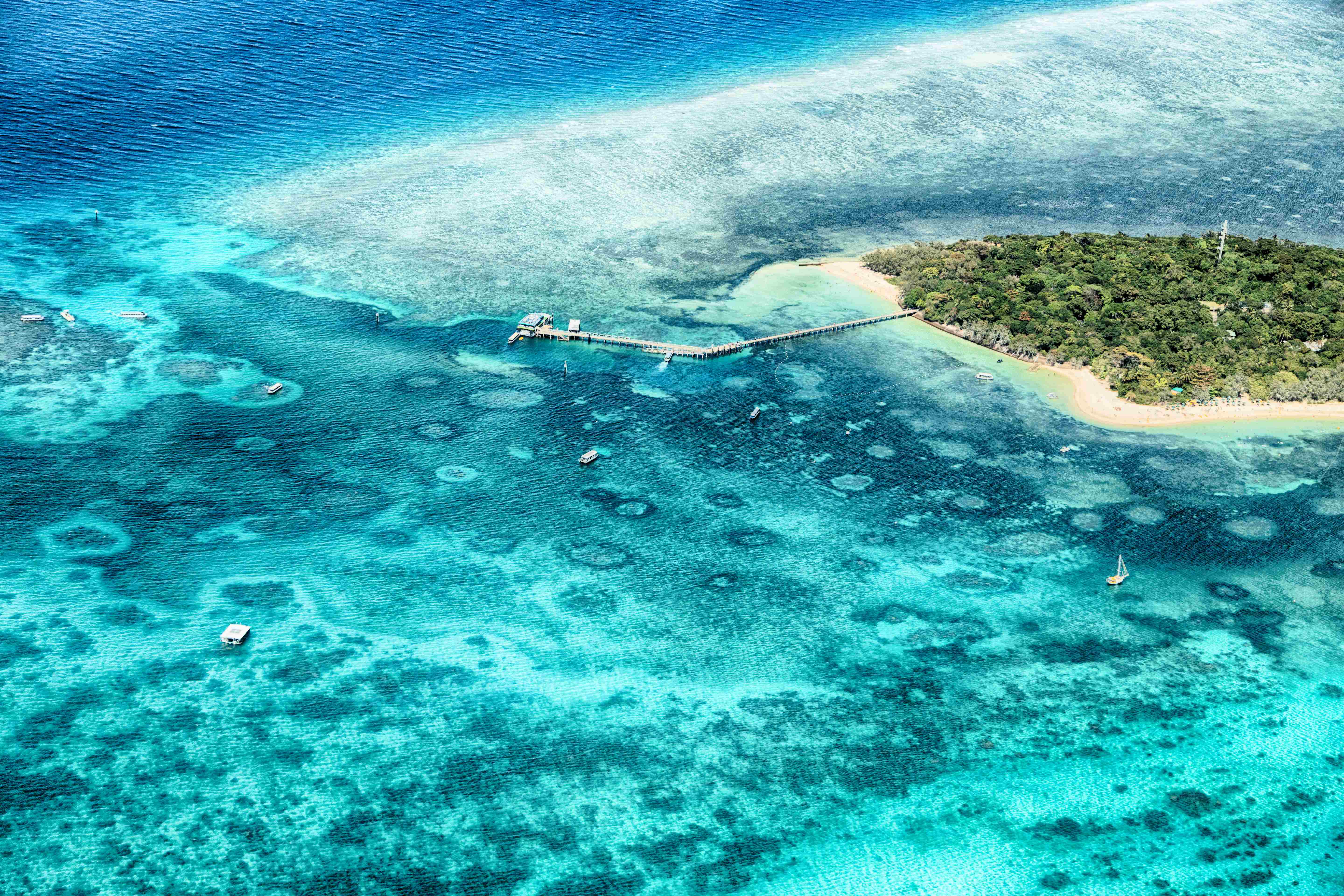 A captivating image of the turquoise waters surrounding the Whitsunday Islands, showcasing the coral formations and white sandy beaches. 