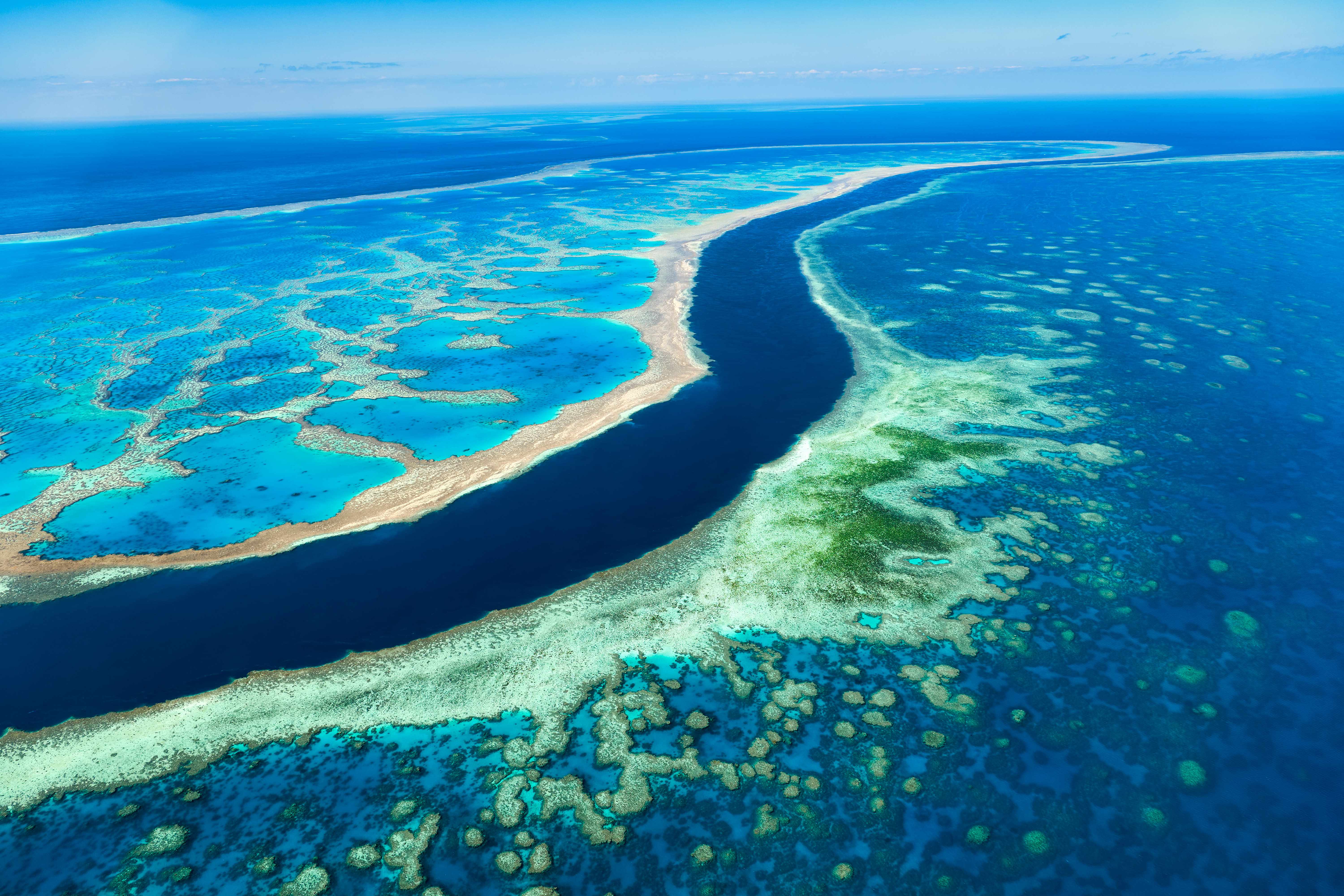 A vibrant underwater image of the Great Barrier Reef, showcasing colorful coral formations and diverse marine life. 