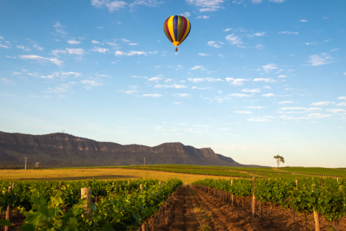 A serene landscape of the Hunter Valley, showcasing rows of lush vineyards under a clear sky, embodying the region's reputation as a premier wine destination, complete with elegant cellar doors and gourmet dining spots.