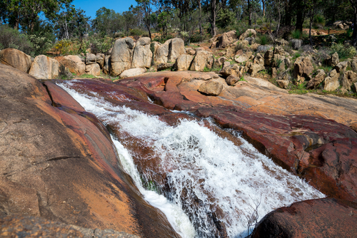 A picturesque view of John Forrest National Park showcases the diverse Australian landscape, featuring lush greenery, rugged bushland, and serene waterfalls. The historic railway tunnel and walking trails meander through the natural beauty, inviting exploration and adventure. Wildlife sightings add to the park's allure, making it a vibrant testament to Western Australia's natural heritage.