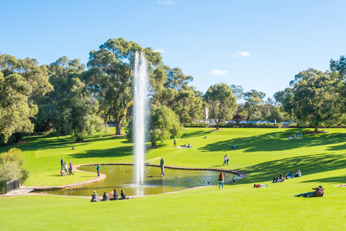 Overlooking the Perth skyline and Swan River, Kings Park and Botanic Garden is captured in lush, verdant splendor. The photograph showcases a vast expanse of greenery, with well-maintained paths winding through diverse collections of Western Australian flora. The city's skyline in the distance contrasts with the natural setting, highlighting the park's significance as one of the world's largest inner-city parks. Visitors can be seen enjoying the panoramic views and serene environment, reflecting the park's appeal as a haven of natural beauty and tranquility in the heart of Perth.