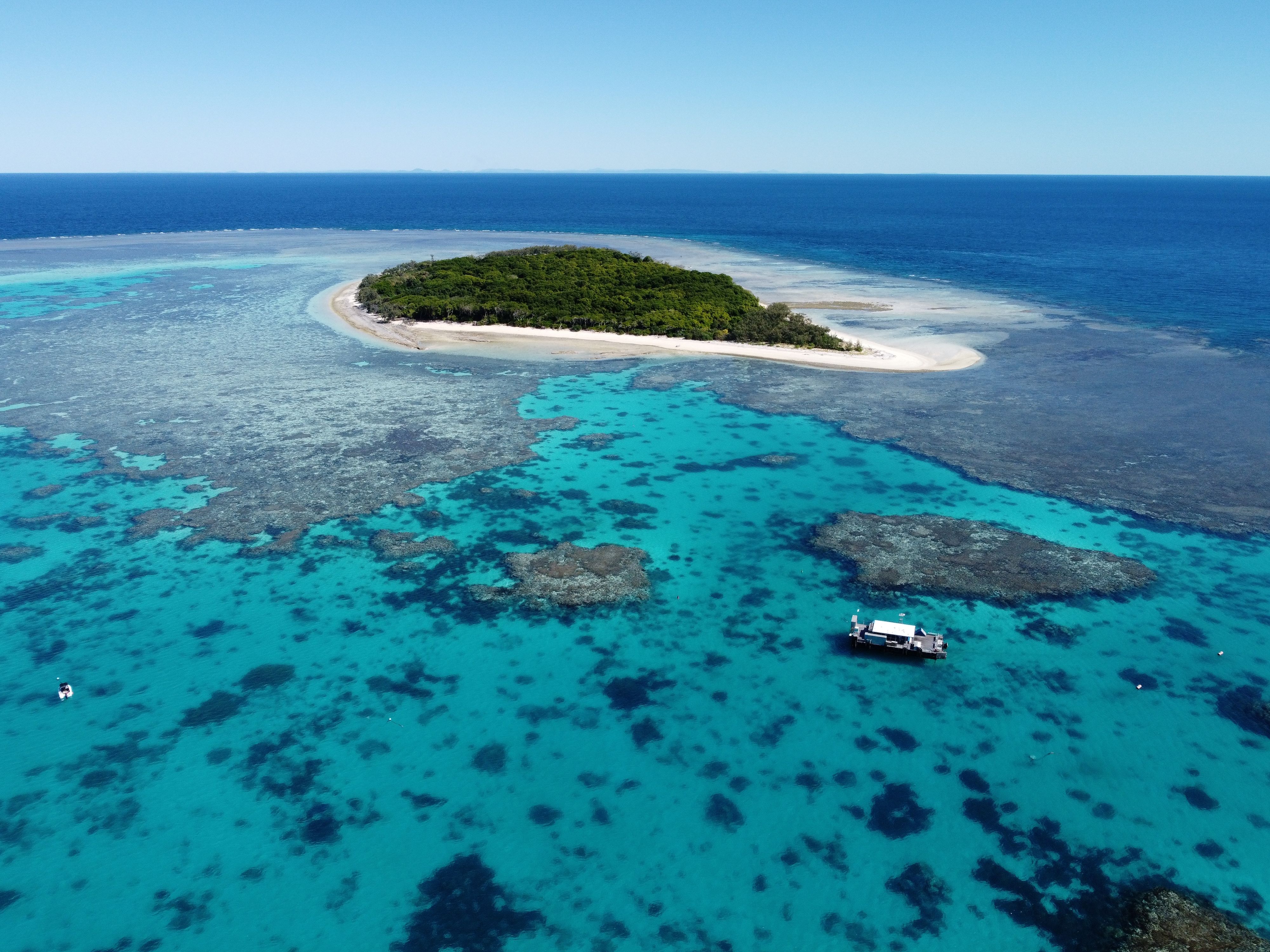 A stunning view from Lady Musgrave Island, featuring crystal-clear waters and vibrant coral formations. 