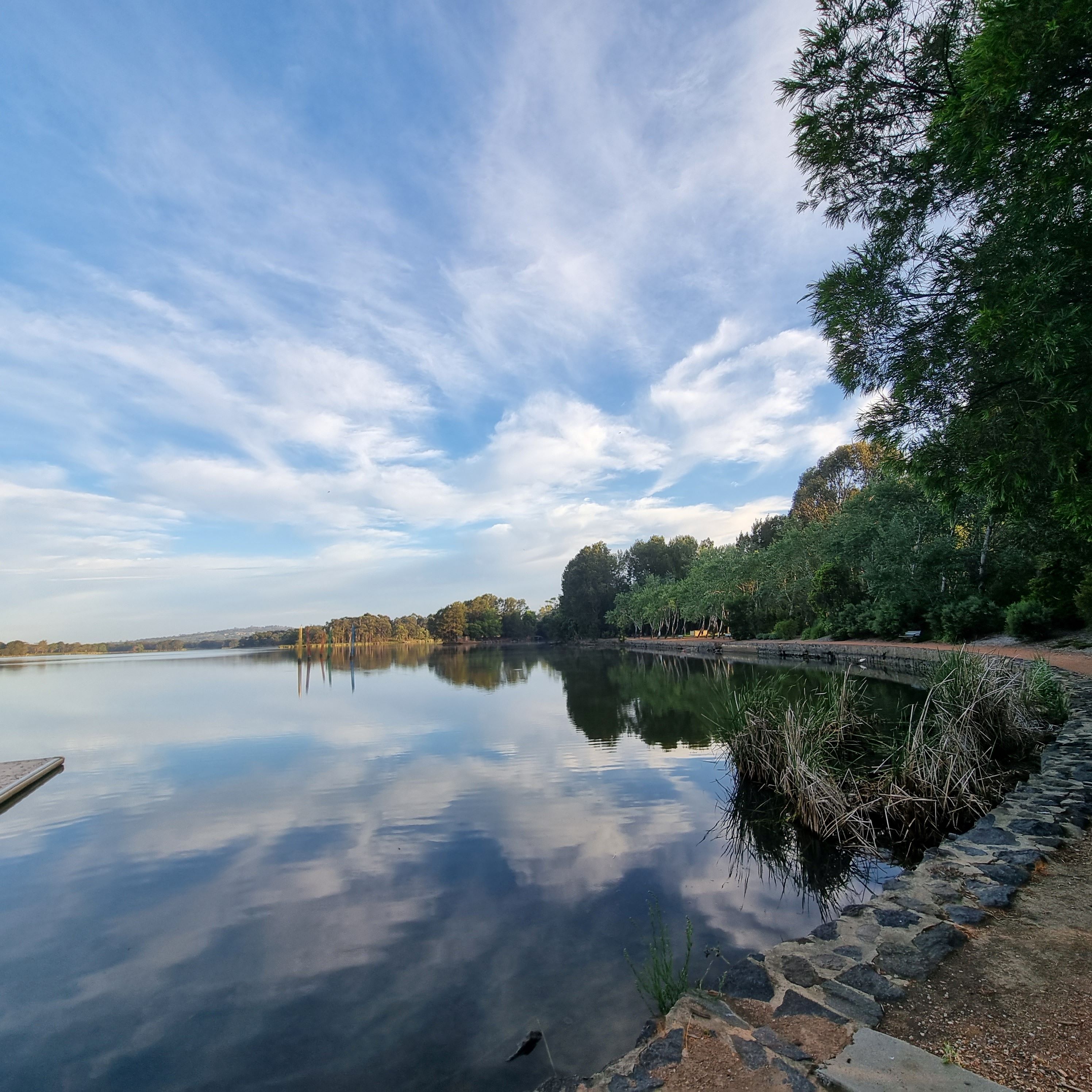 A serene view of Lake Ginninderra with lush greenery surrounding the water and the clear blue sky reflecting on its surface. 