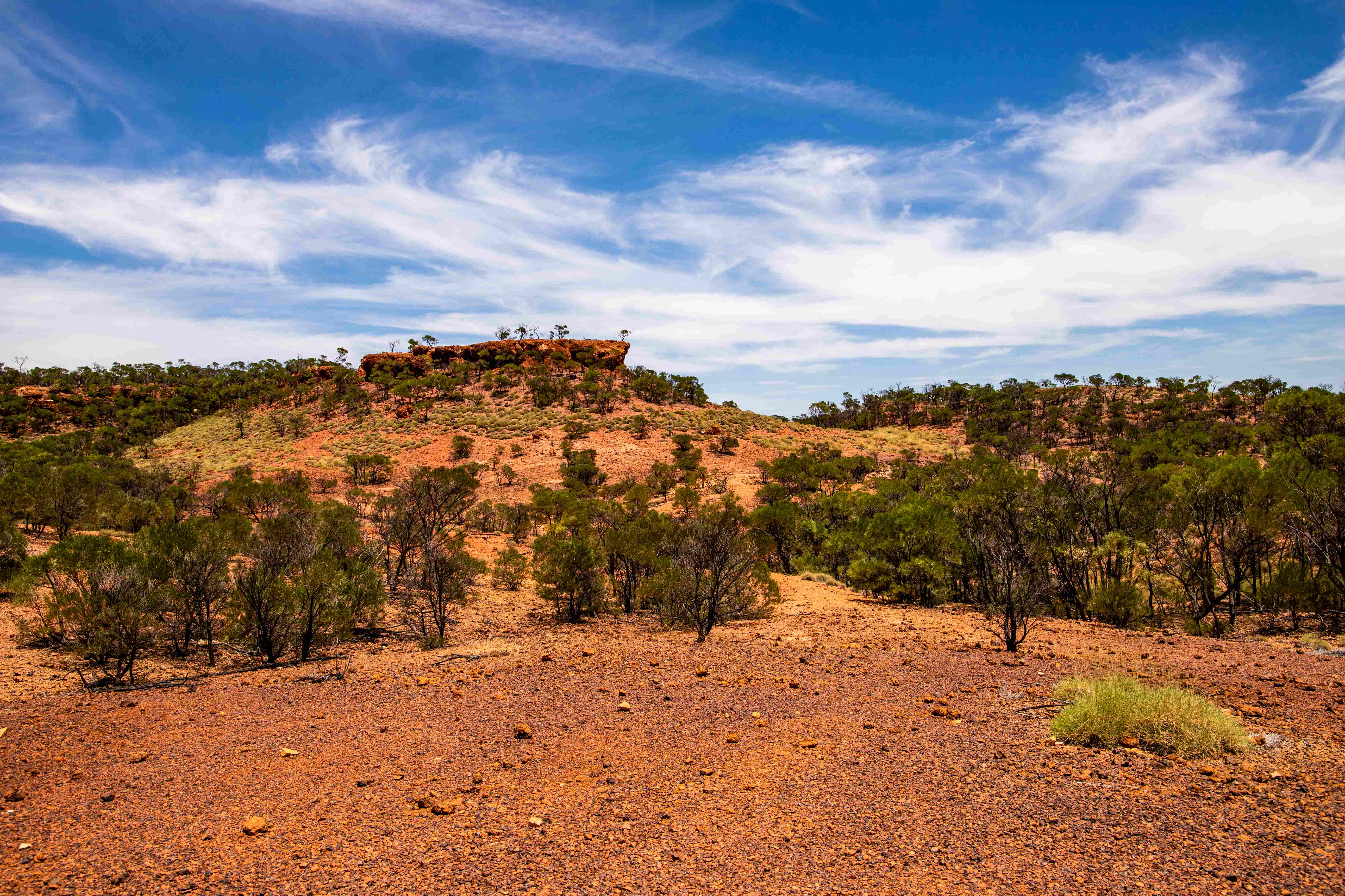 A scenic image of Lark Quarry, with fossilized dinosaur footprints visible in the rock formations. 