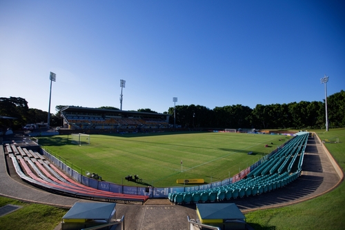 An electric atmosphere at Leichhardt Oval during a key match, where the roar of the crowd and the intensity on the field encapsulate the local love for rugby. The close proximity of fans to the action makes every game an intimate and unforgettable experience.