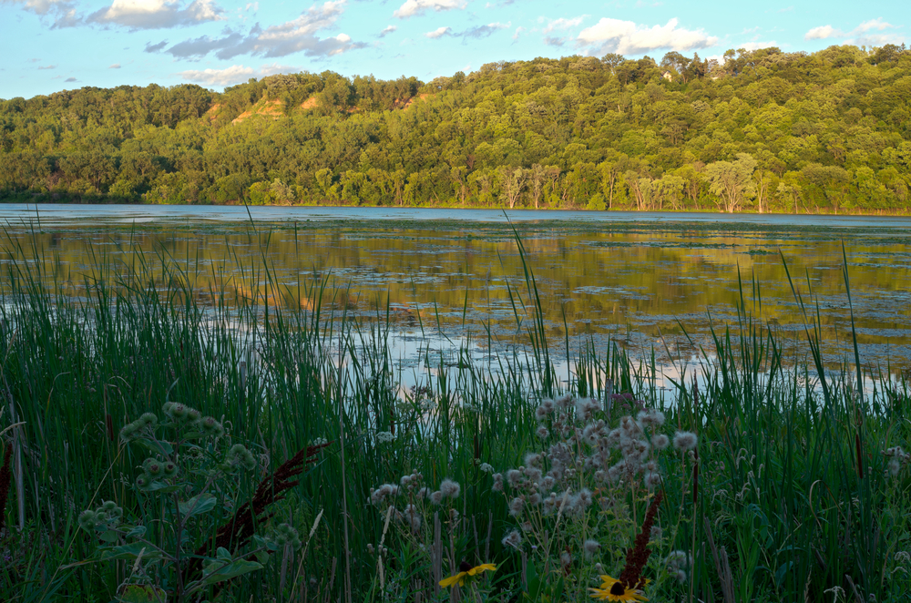 Panoramic view of Lilydale Lake on a sunny day in Outer Eastern Melbourne, showcasing families enjoying picnics by the water and individuals engaging in recreational activities like fishing and kayaking. The surrounding parkland and walking trails are visible, emphasizing the lake’s role as a community hub for outdoor leisure and family gatherings.