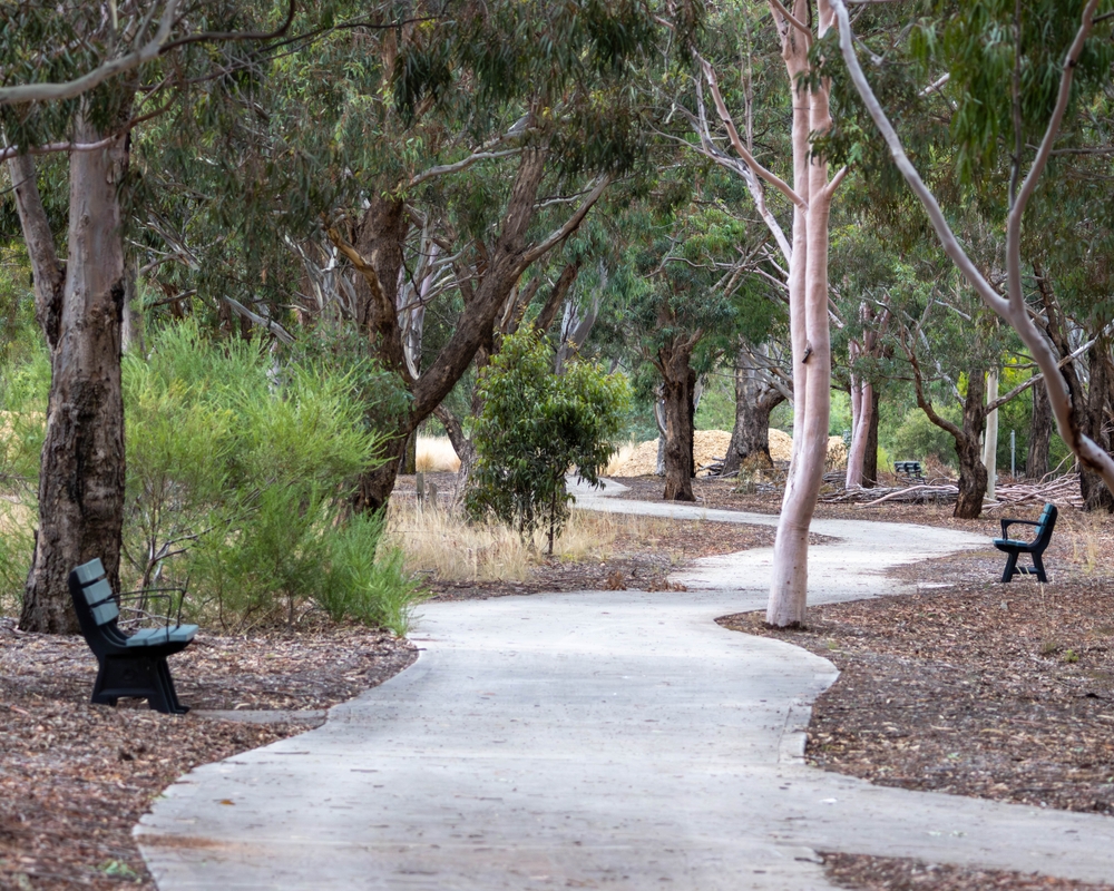 A vibrant image of the Melton Botanic Garden, featuring a diverse display of native Australian plants in full bloom. Visitors wander along the well-maintained paths that meander through the garden, admiring the array of colors and textures. The garden is bathed in sunlight, highlighting its role as a sanctuary for conservation and a peaceful retreat for nature lovers. Educational signage is visible, providing insights into sustainable gardening practices and the importance of biodiversity, making the garden a vital educational and ecological asset to the Melton community.