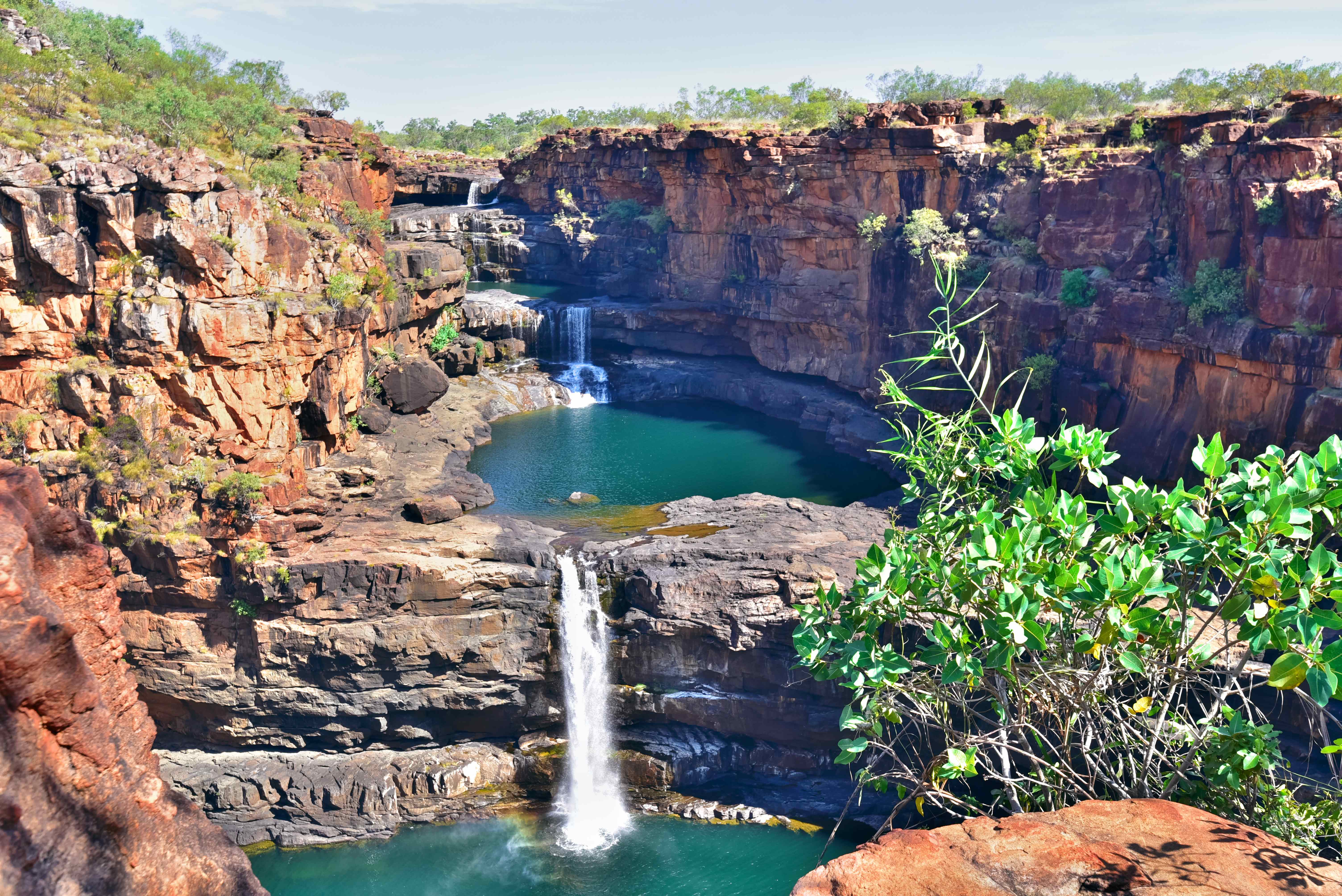 A breathtaking scene from Mitchell Falls, featuring cascading water surrounded by vibrant greenery. 