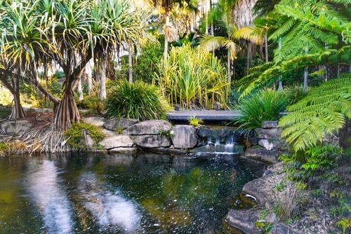 A breathtaking panorama of The Australian Botanic Garden Mount Annan showcases the vast beauty of Australia's flora. From carefully curated gardens to wild bushland areas, the garden is a sanctuary of biodiversity and a peaceful retreat for visitors seeking to immerse themselves in nature.