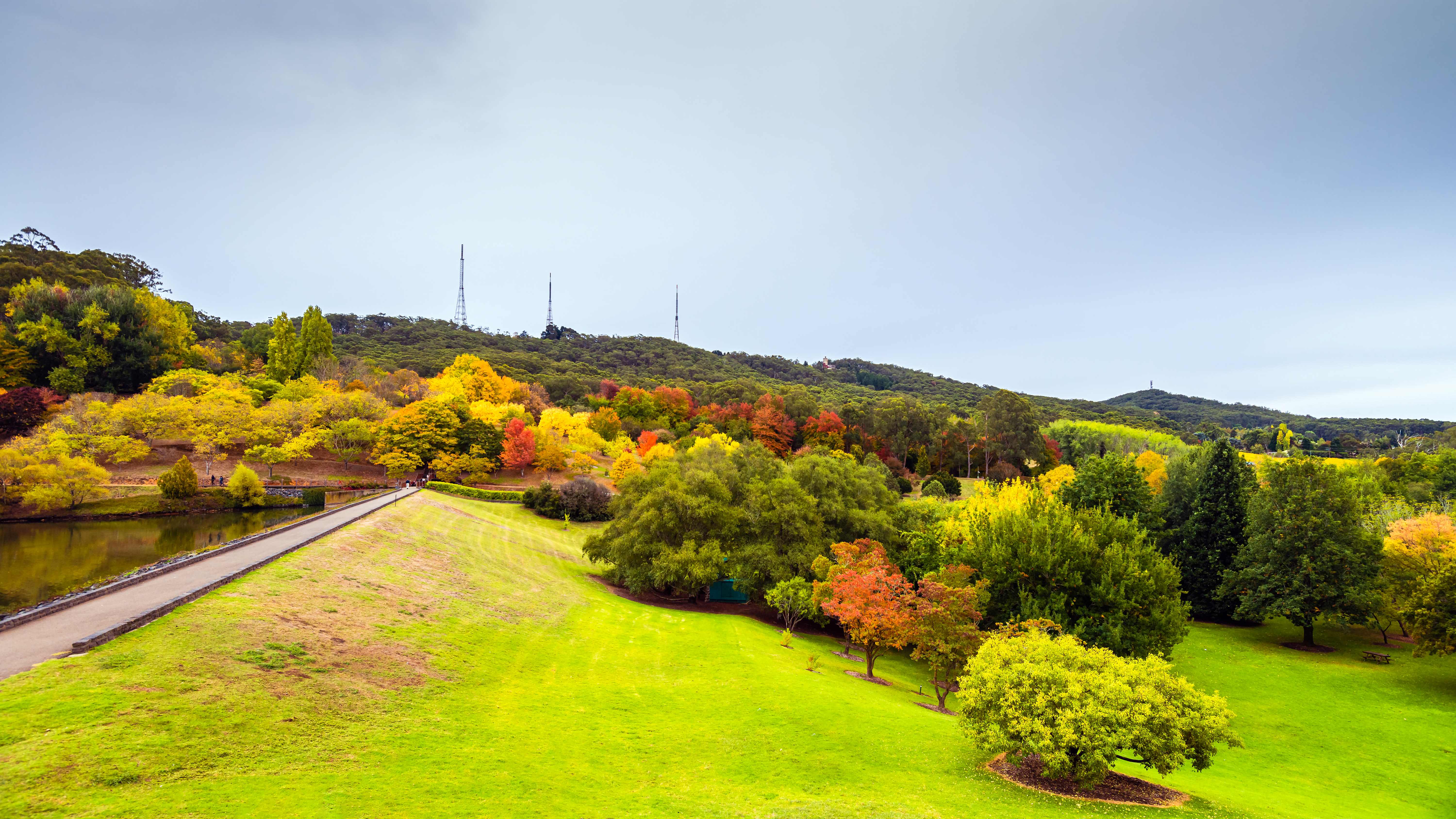 Colorful blooms and lush foliage in the Mount Lofty Botanic Garden. 