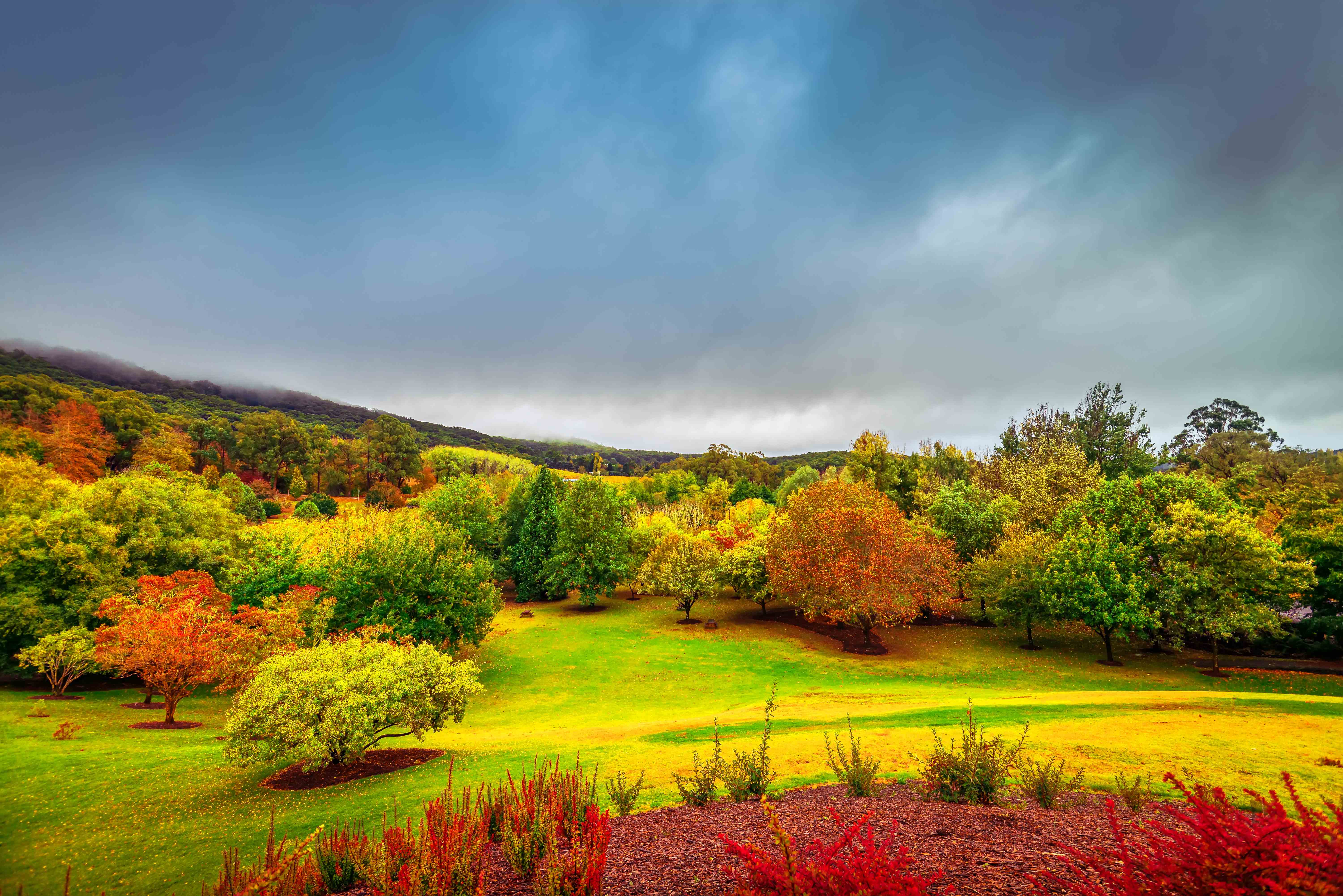 A scenic landscape featuring Mount Lofty Botanic Garden, surrounded by lush greenery and colorful flowers.  