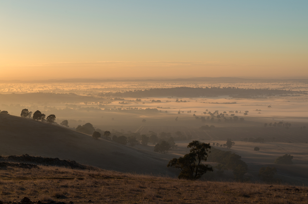 A breathtaking image of the summit of Mount Major at Dookie. This  panoramic view of the surrounding agricultural lands and distant mountains. The trails are visible winding up the hillside, through native bushland that changes colour with the seasons. This image conveys the adventurous spirit of the area and the rewarding experiences available to those who explore the natural landscapes around Shepparton.