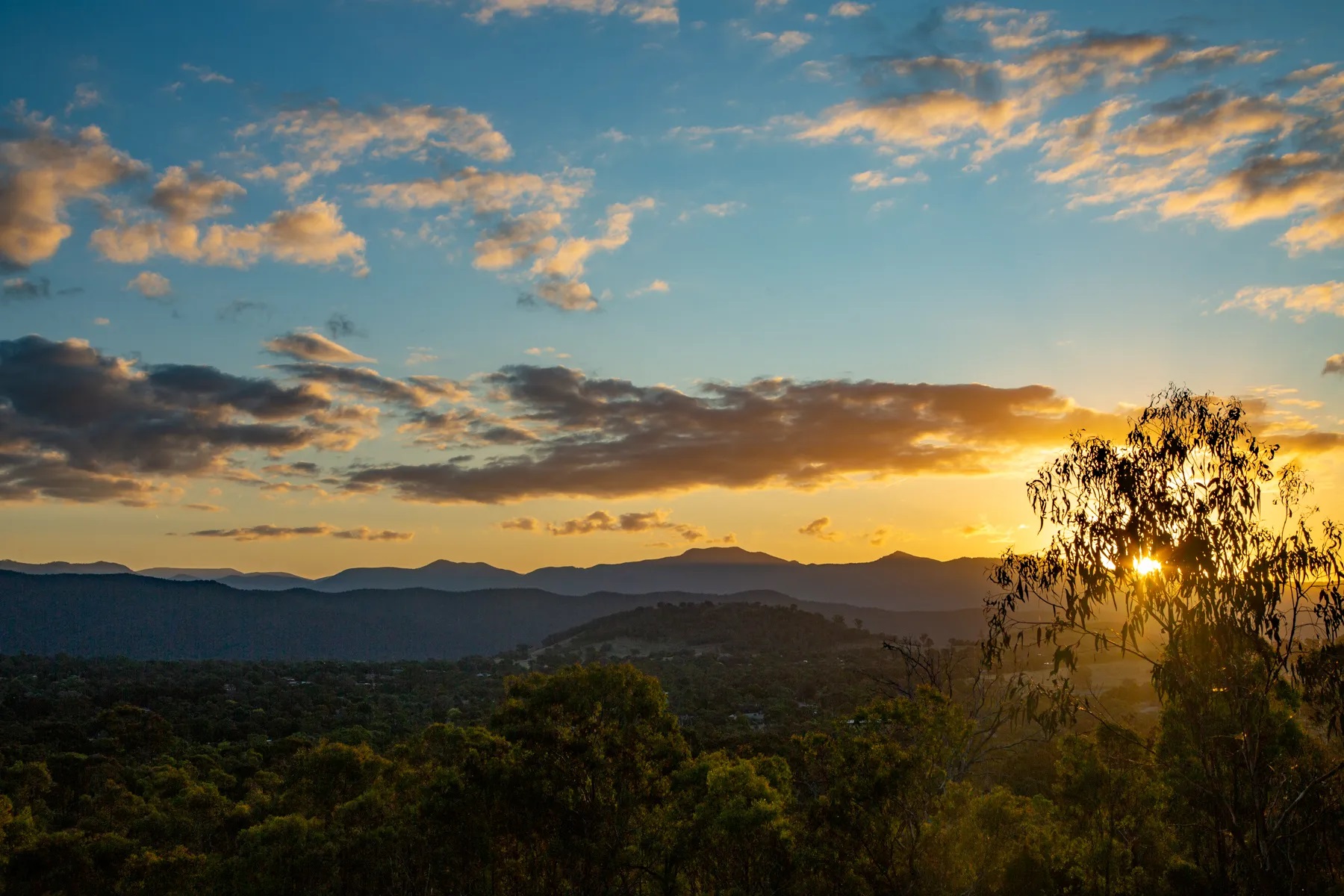 A scenic panorama of Mount Taylor Nature Reserve, featuring its verdant hills, winding trails, and sweeping views of the surrounding valley, with native flora and fauna thriving amidst the tranquil bushland, evoking a sense of serenity and natural beauty. 