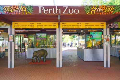 A vibrant and engaging scene at Perth Zoo, showcasing a diverse array of animals in carefully designed habitats that mimic their natural environments. Visitors, including families and children, are seen marveling at the exotic and native species, highlighting the zoo's role in education and conservation. The lush greenery and well-maintained paths underscore the zoo's commitment to providing a safe and immersive experience for both the animals and the public.