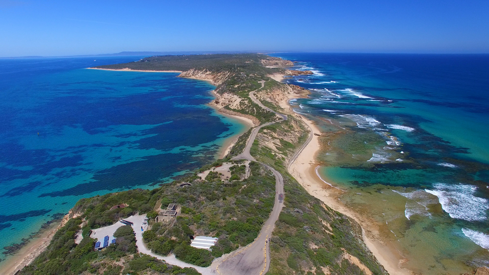 A scenic image of Point Nepean National Park, showing the rugged coastal landscape with its historic military forts and rich vegetation. The walking paths lead to dramatic cliff edges offering expansive views of the Bass Strait and Port Phillip Bay. 