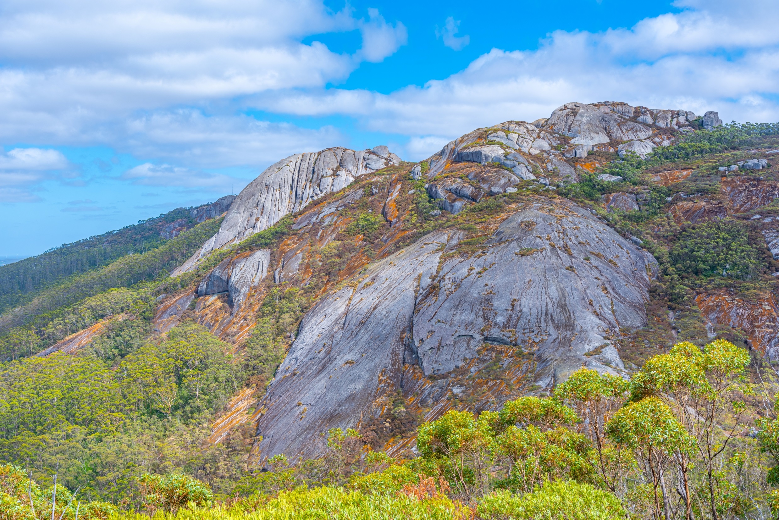 A serene image from Porongurup National Park, featuring lush greenery and the distinctive peaks of the Porongurup Range. 