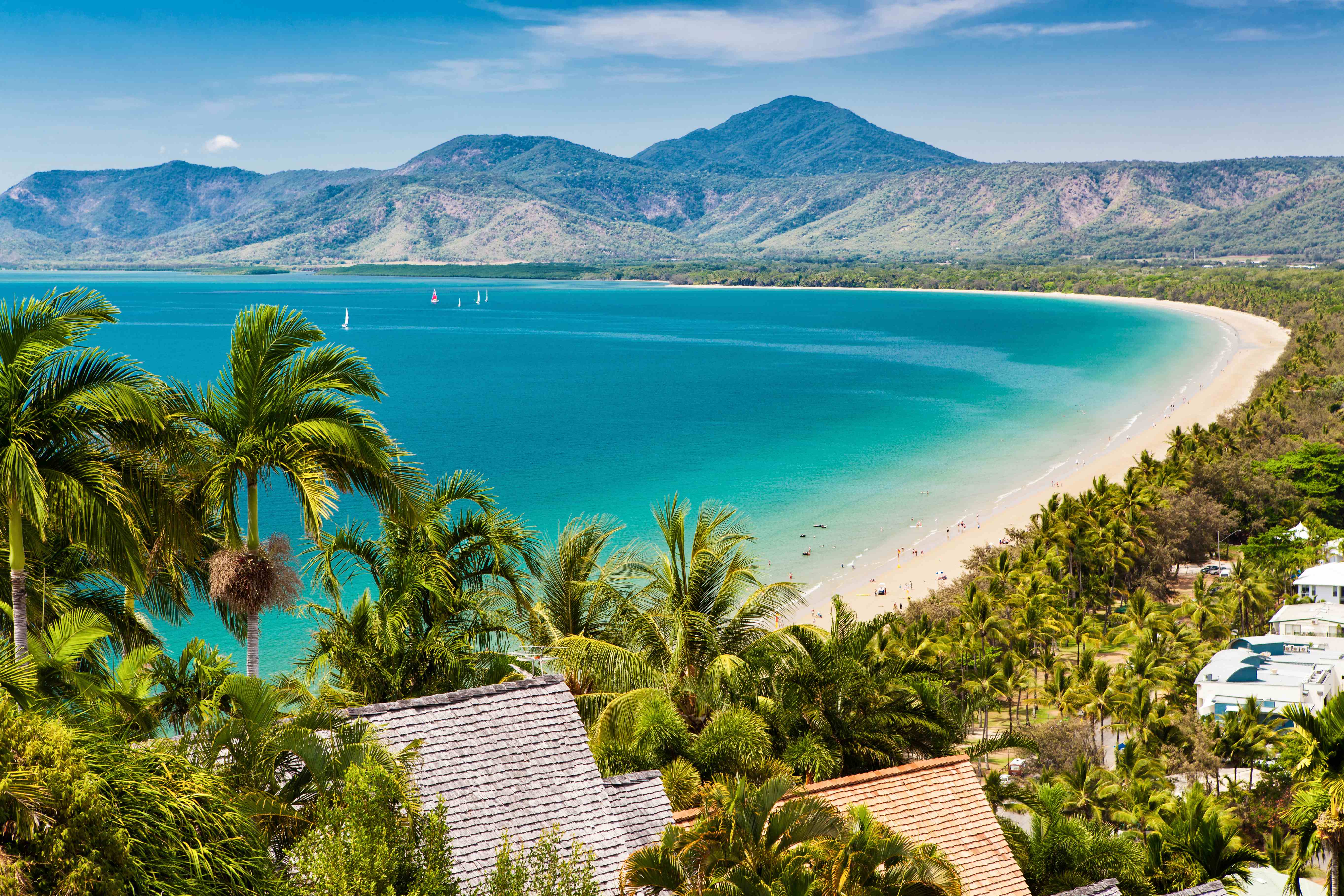 A scenic view of Four Mile Beach in Port Douglas, with palm trees lining the shore and the Coral Sea stretching to the horizon. 