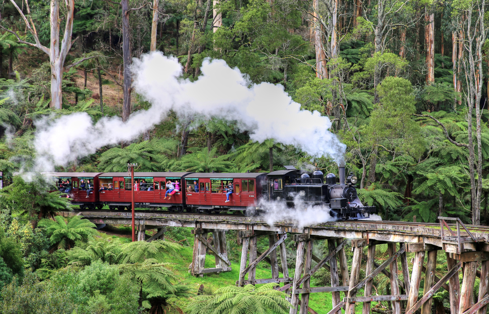 Vintage steam locomotive of the Puffing Billy Railway chugging through the scenic landscapes of the Dandenong Ranges, surrounded by lush forest. This image captures the nostalgic charm of the heritage railway, which offers passengers a unique travel experience through some of Outer Eastern Melbourne’s most picturesque settings.