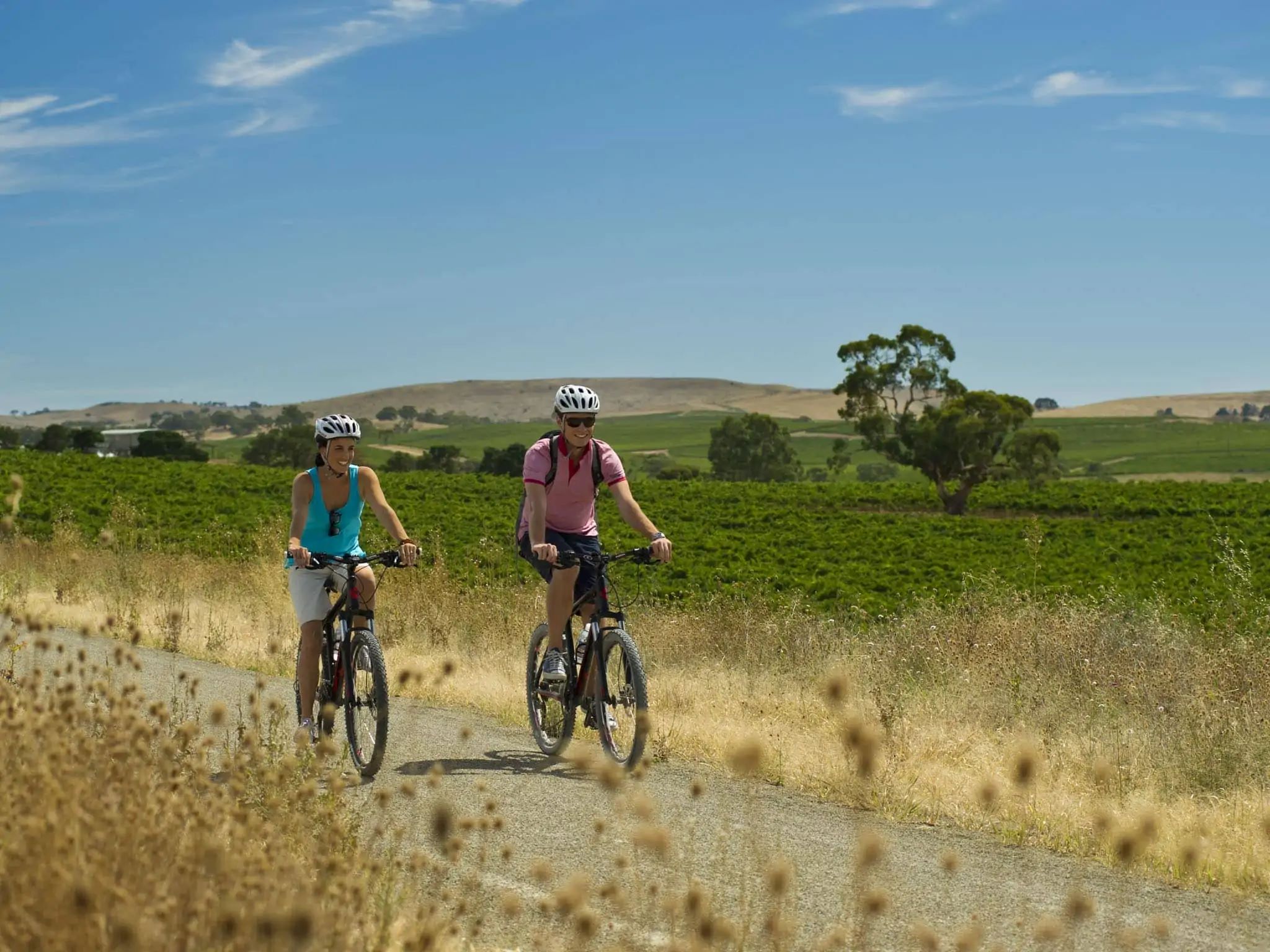 Cyclists riding along the tree-lined Riesling Trail with vineyards in the background. 