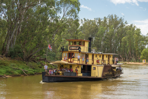 A classic paddle steamer gracefully navigating the tranquil waters of the Murray River, surrounded by lush riverbanks and a serene landscape, epitomizing the timeless appeal and leisurely pace of river cruising.