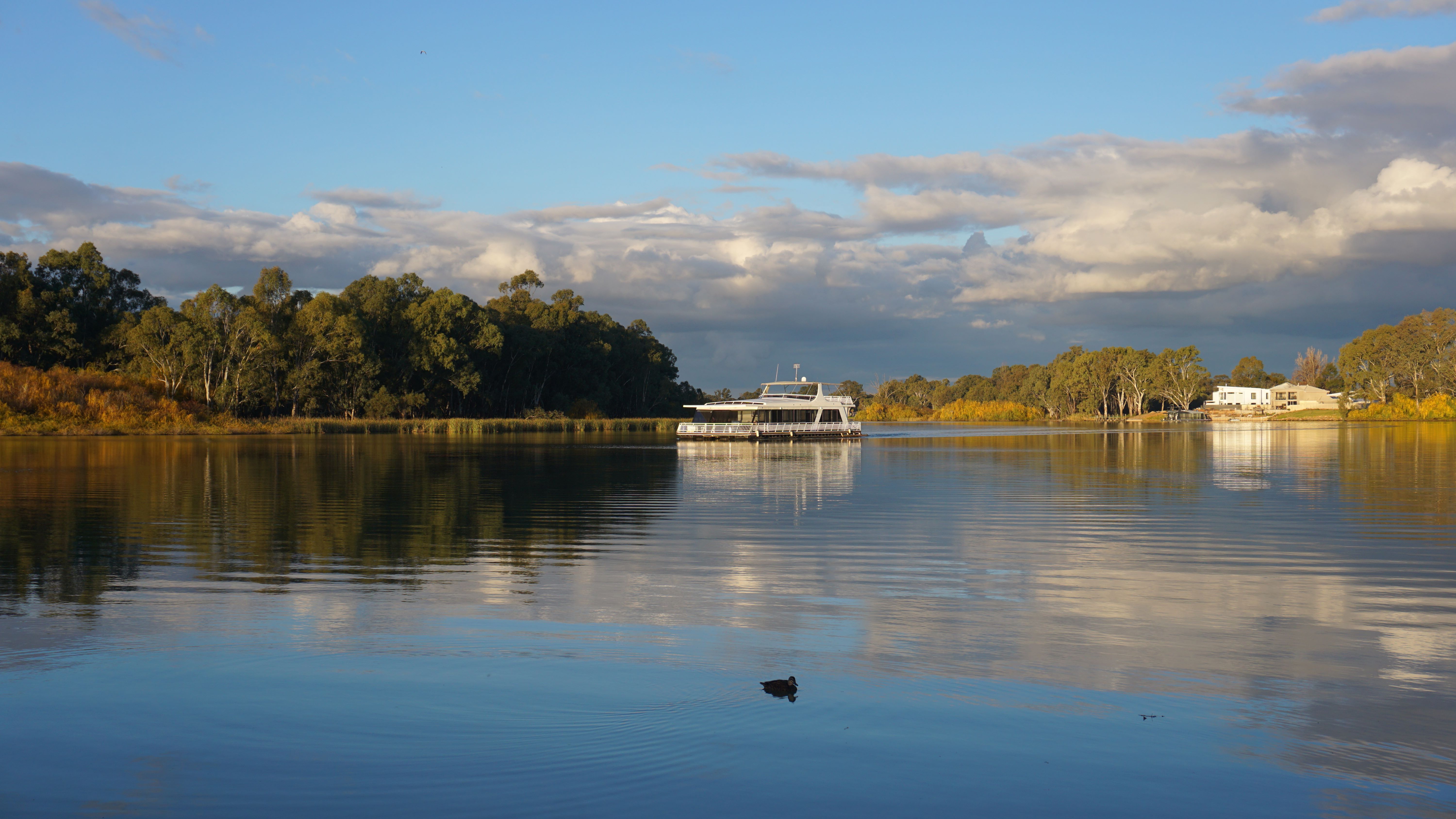 A river cruise boat gliding along the tranquil waters of the Murray River, surrounded by greenery and clear blue skies. 