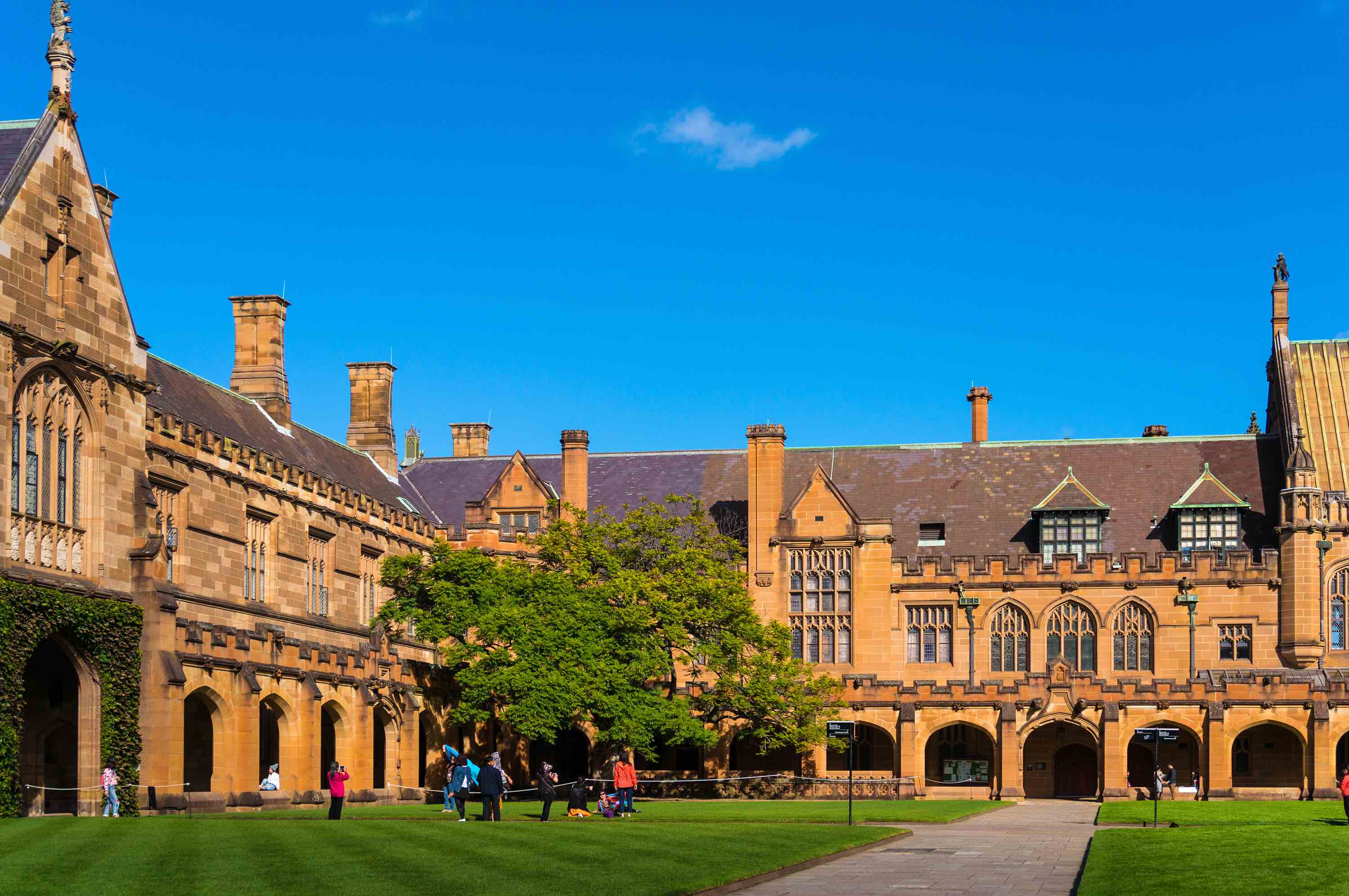 The grand Quadrangle of the University of Sydney, basking in the golden glow of the afternoon sun. The historic buildings and lush lawns are a hub of activity, where students and visitors alike are drawn to the blend of tradition and innovation that the university represents, making it a cornerstone of Inner West Sydney's cultural landscape.