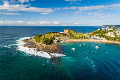  The lively atmosphere of The Entrance, where a crowd gathers to watch the daily pelican feeding, a unique and engaging wildlife experience set against the scenic backdrop of the Central Coast's waterways.
