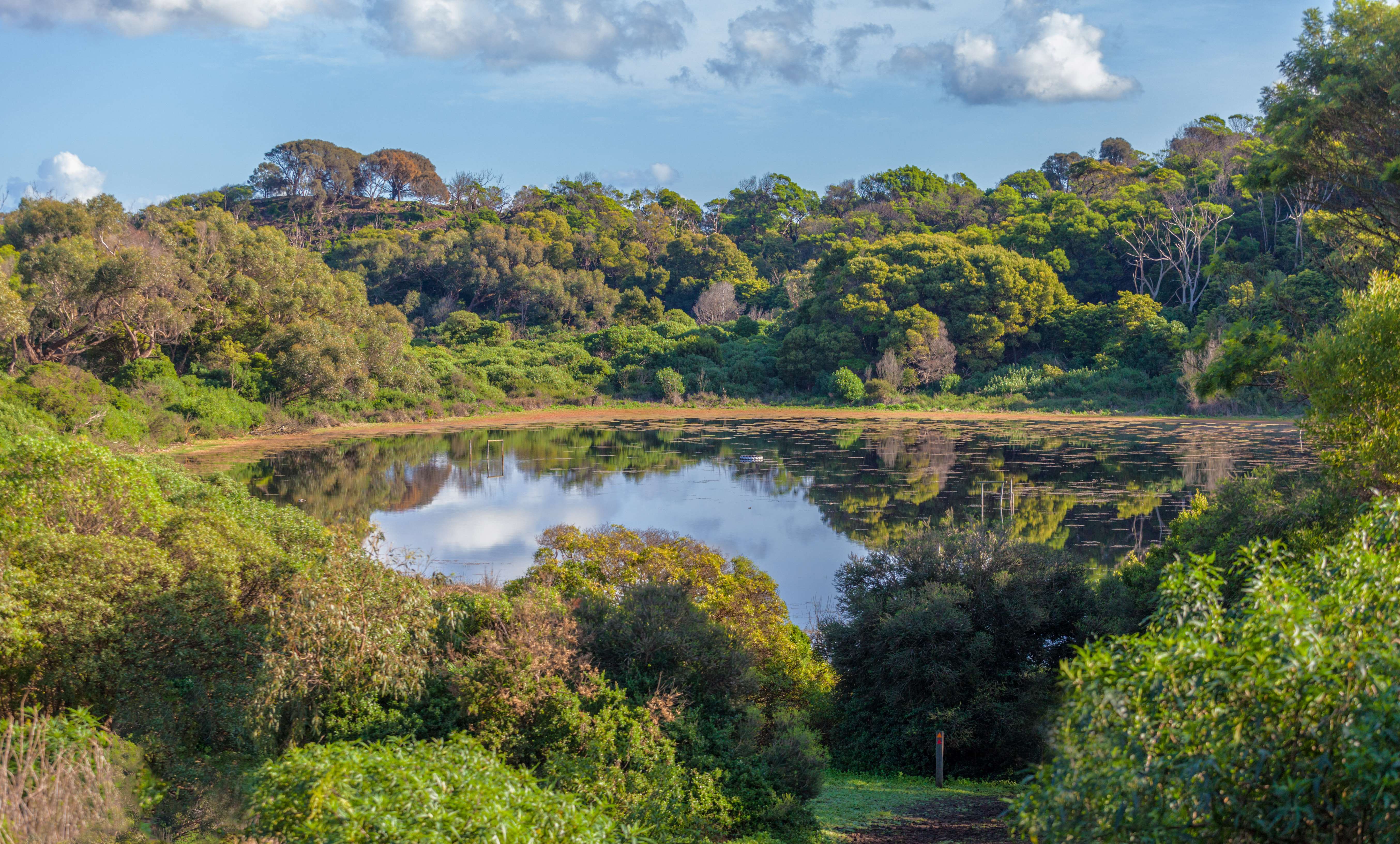 Tower Hill landscape volcano crater lake in lush vegetation. 