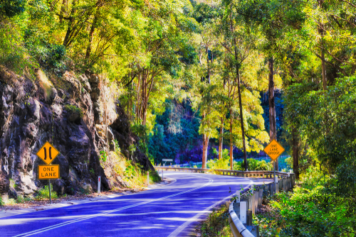 The breathtaking scenery along Waterfall Way, featuring a route lined with dense rainforests and cascading waterfalls, offering a stunning journey from the New England tablelands down to the coastal plains.    