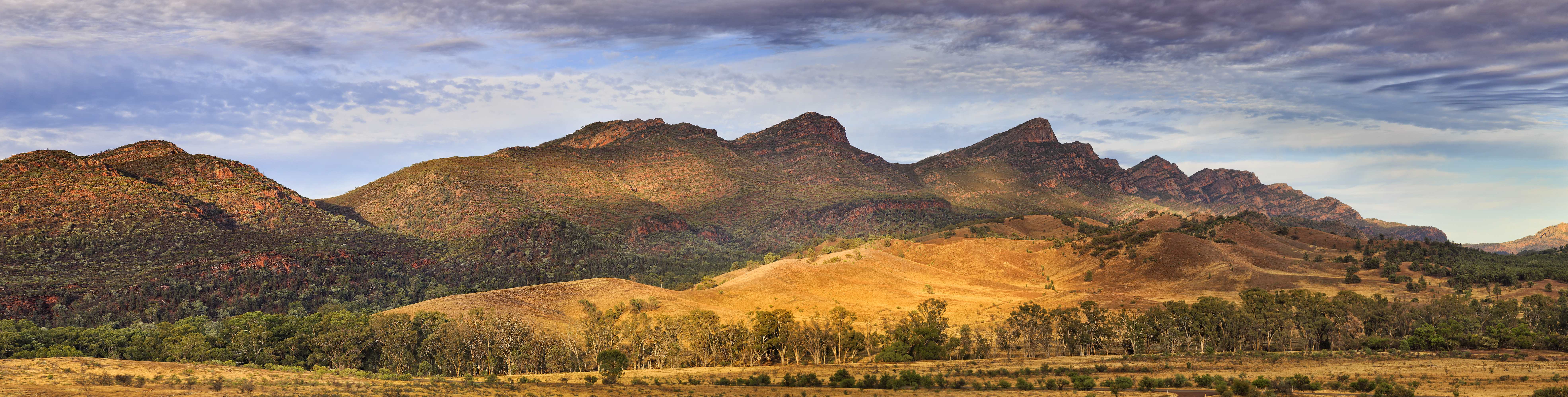 A panoramic view of Wilpena Pound, with towering rock formations surrounding a lush valley floor dotted with eucalyptus trees. 