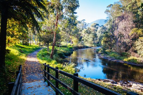 An image capturing a scenic view of the Yarra River Trails as they wind through lush parklands in Boroondara. Cyclists and walkers can be seen enjoying the well-maintained paths that offer serene river views and abundant greenery, creating a perfect escape into nature within the urban setting. This picturesque setting highlights the accessibility of natural recreational spaces in urban areas, promoting a healthy and active lifestyle.