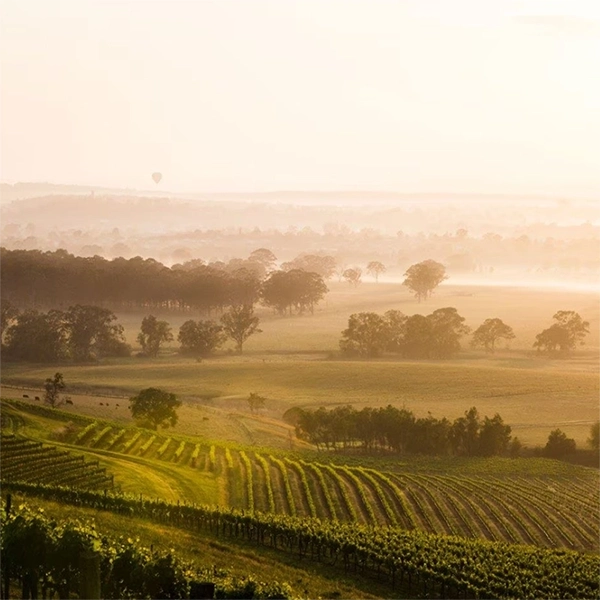 The Hunter Valley, Australia's oldest wine region, is a haven for connoisseurs and enthusiasts alike. Known for its exquisite wineries, lush vineyards, and gourmet cuisine, it offers a delightful escape into a world of fine dining and wine tasting. This picturesque valley, with its rolling hills and serene ambiance, is an essential experience for those seeking the pleasures of the country's finest wines and natural beauty.