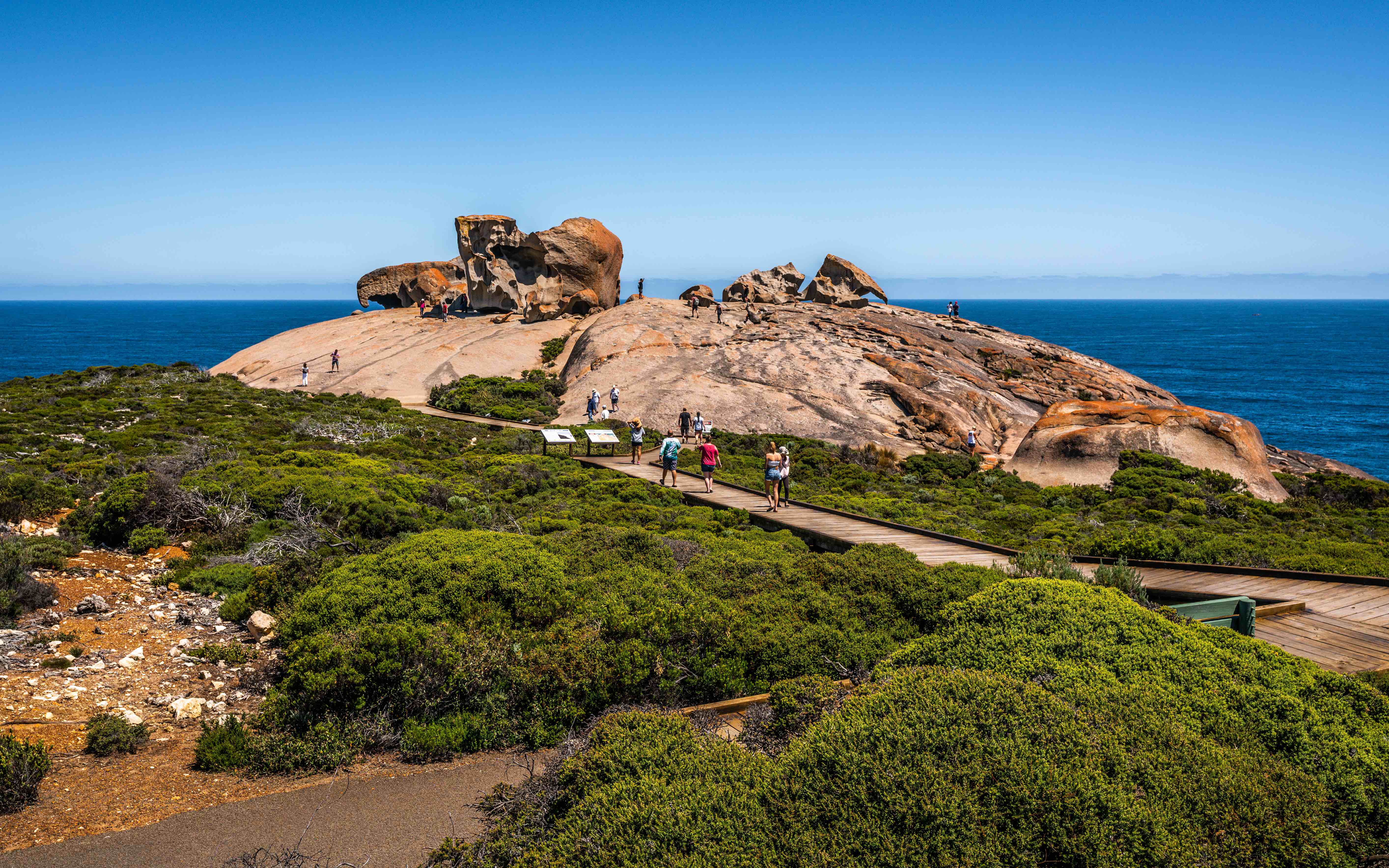 A pristine beach on Kangaroo Island, framed by natural bushland, showcasing the island's role as a sanctuary for diverse wildlife and its unspoiled ecosystems.