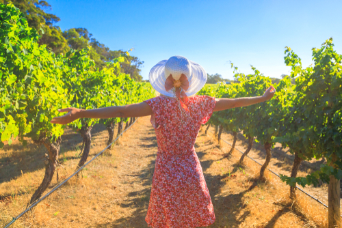 A picturesque vineyard in Margaret River, reflecting the region's reputation for fine wines, set against a backdrop of stunning surf breaks, showcasing its dual allure. 
