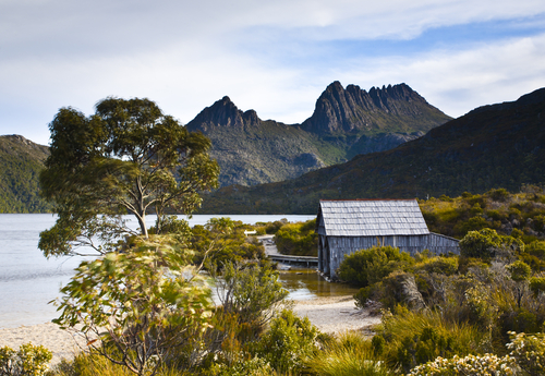 A breathtaking expanse of the Tasmanian Wilderness, capturing its untouched forests, rugged mountains, and tranquil waterways, a testament to its status as a UNESCO World Heritage site.
