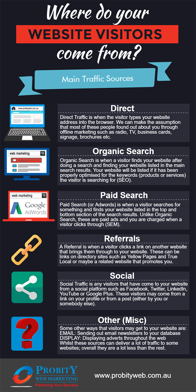Website Traffic Sources Infographic