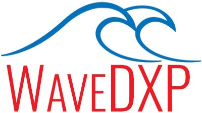 Introducing WaveDXP - Our Digital Experience Platform feature image