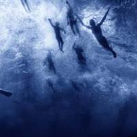 Ocean Swimming 101