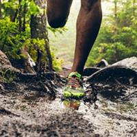 Trail Running in the Northern Suburbs 