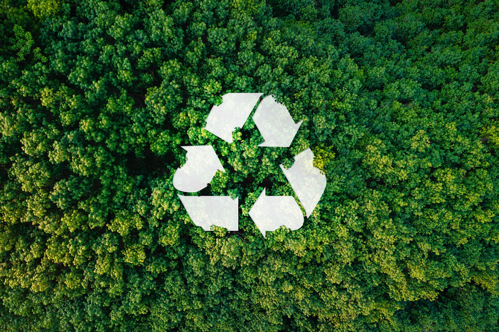 Future Super Growth and Sustainability Challenge