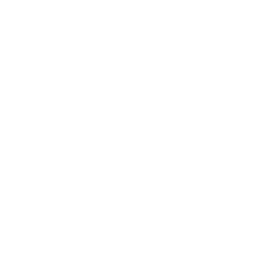 ROI Icon