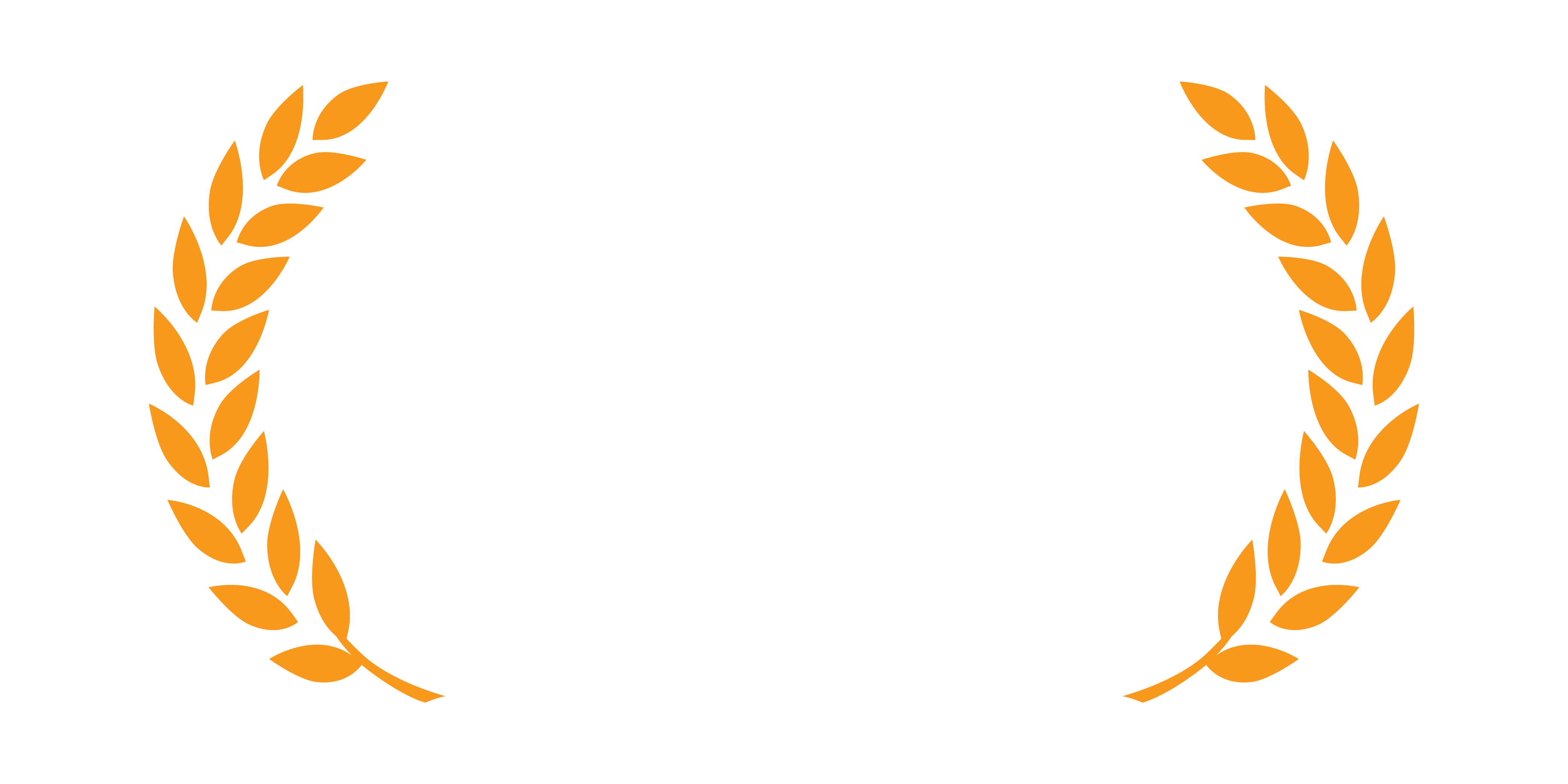 Fitzroy IT is an AWS Partner