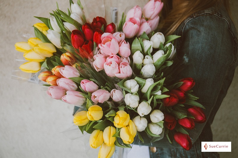 Create Personal Brand Impact with Colour